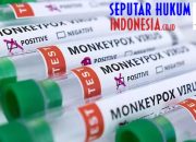 Dinkes DKI : Vaksinasi Cacar Monyet Dosis Kedua Telah Diberikan ke 416 Orang
