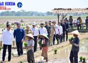 Musim Hujan Tiba, Presiden Jokowi Dorong Petani Tanam Padi