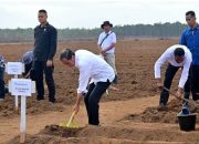 Tanam Tebu Perdana di Merauke, Presiden: Pemerintah Fokus Kembangkan Ketahanan Pangan