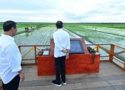 Presiden Jokowi dan Ibu Iriana Tinjau Simulasi Drone Tabur Pupuk di Papua Selatan