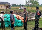 Program Asta Cita Pemerintah :Sinergi TNI dan Petani dalam Rangka Mewujudkan Ketahanan Pangan