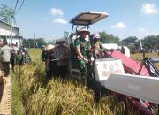 Berkat LTT, Produktivitas Padi di Ngawi Diprediksi Meningkat