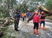 Sigap dan Tanggap! TNI-Polri Bersama BPBD Trenggalek Pulihkan Jalur Nasional dari Pohon Tumbang