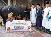 Bupati Lamongan Serahkan Sapi Kurban Bantuan Presiden RI ke Masjid Al Muttaqin